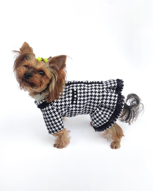 Stylish Tweed Dog Jacket with Matching Dress for Small Breeds