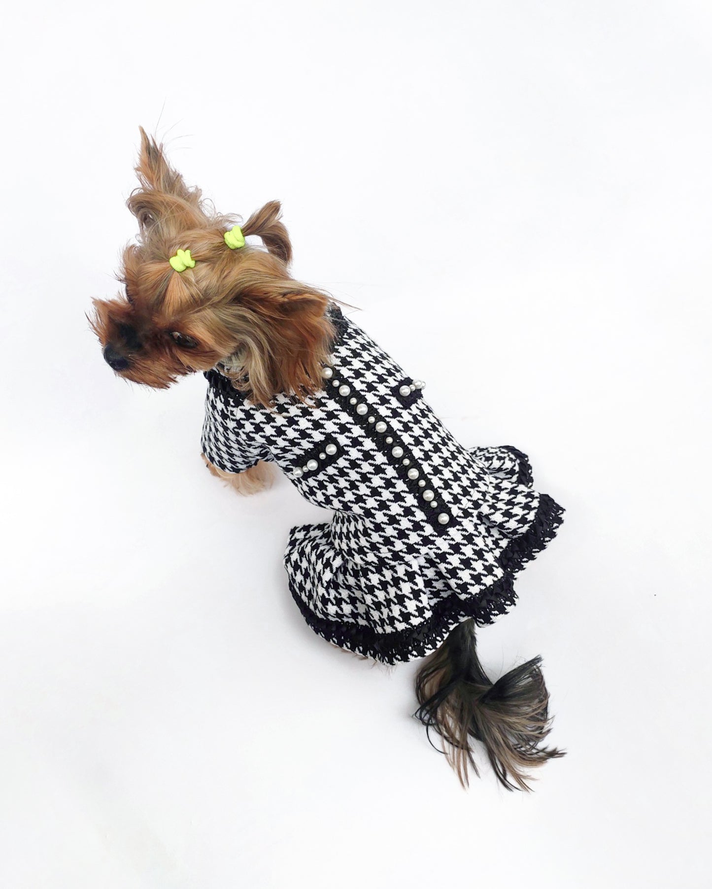 Stylish Tweed Dog Jacket with Matching Dress for Small Breeds