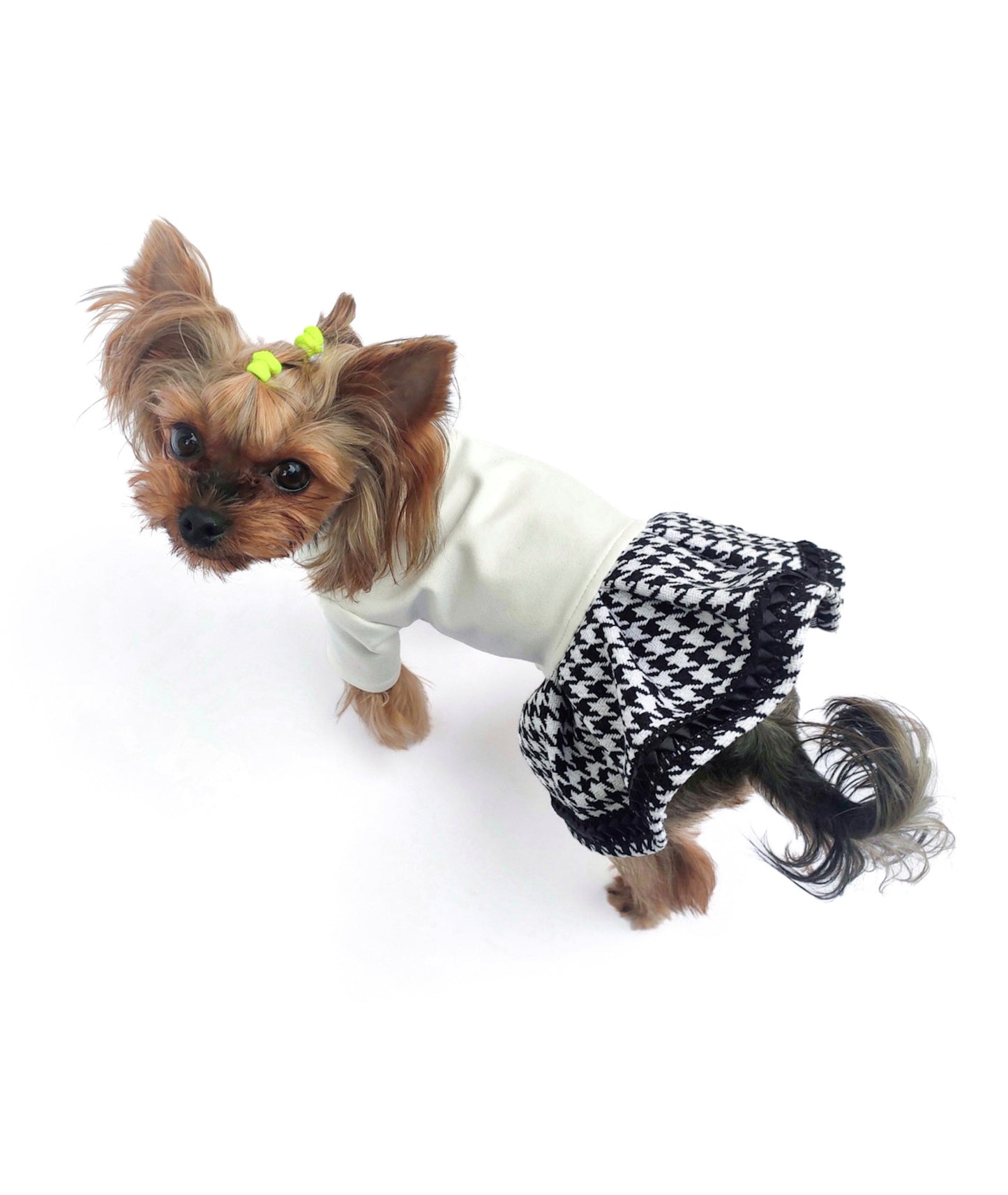 Stylish Tweed Dog Jacket with Matching Dress for Small Breeds