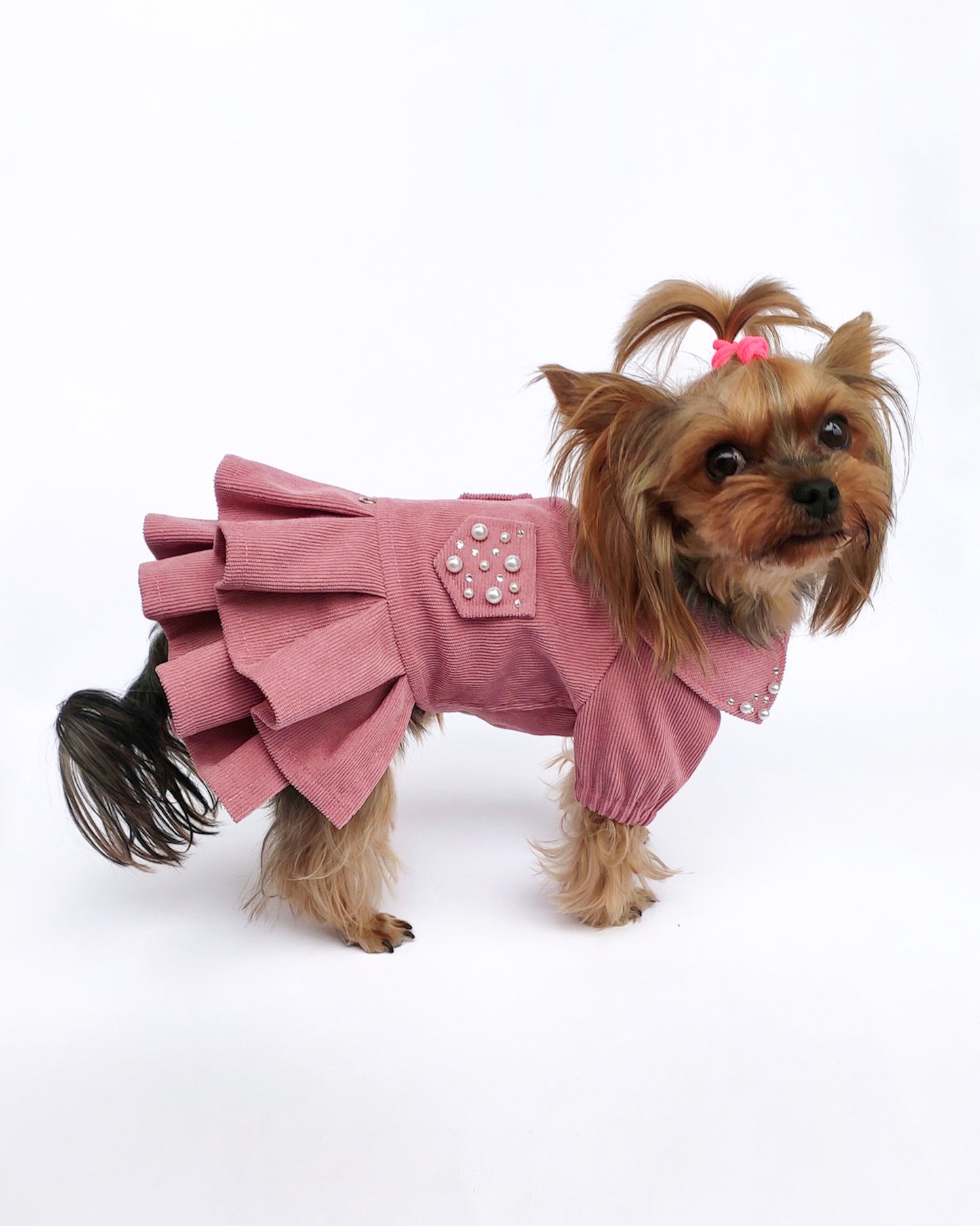 Pink cute dog dress. Designer pet fashion clothes