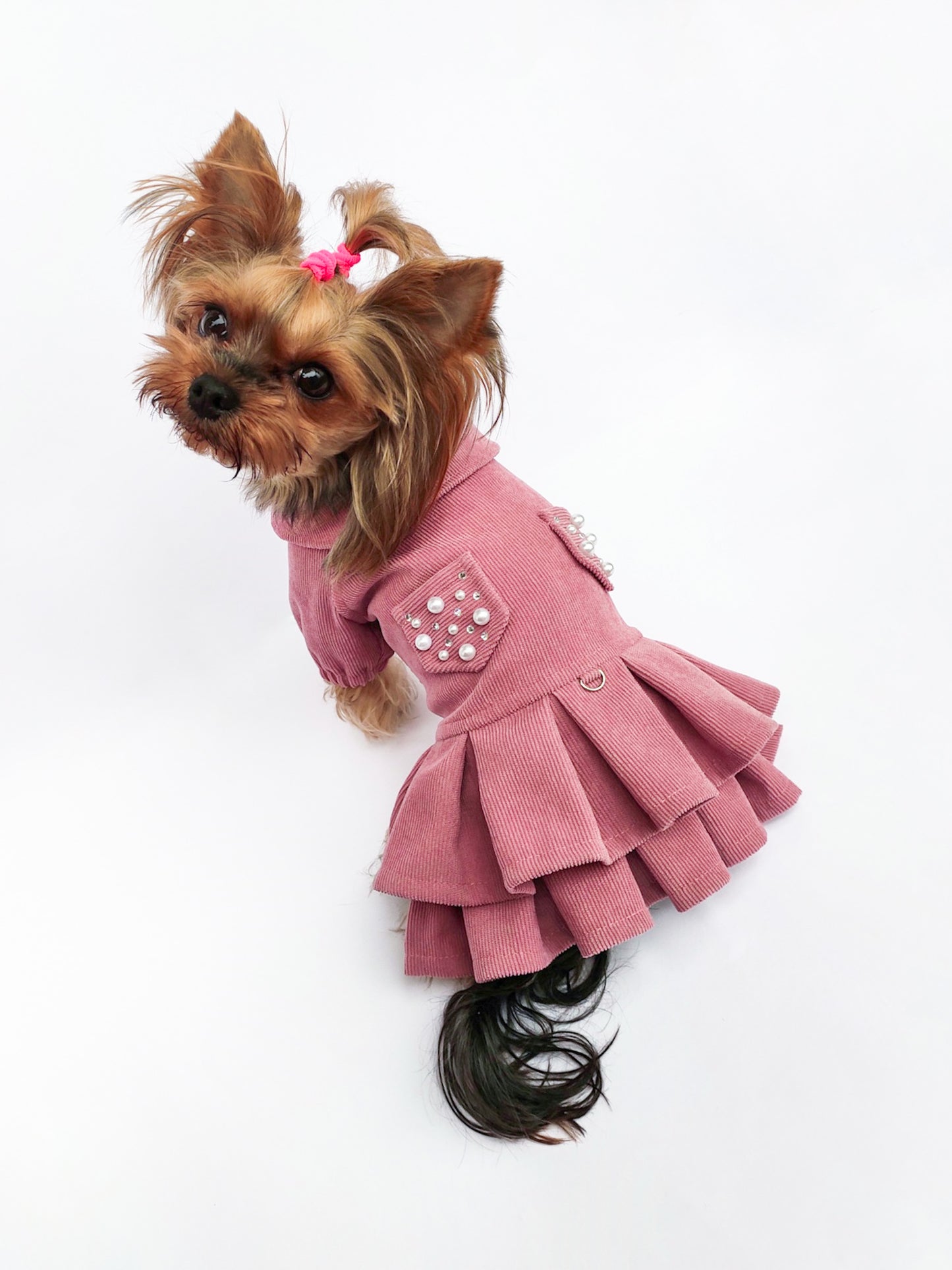 Pink cute dog dress. Designer pet fashion clothes