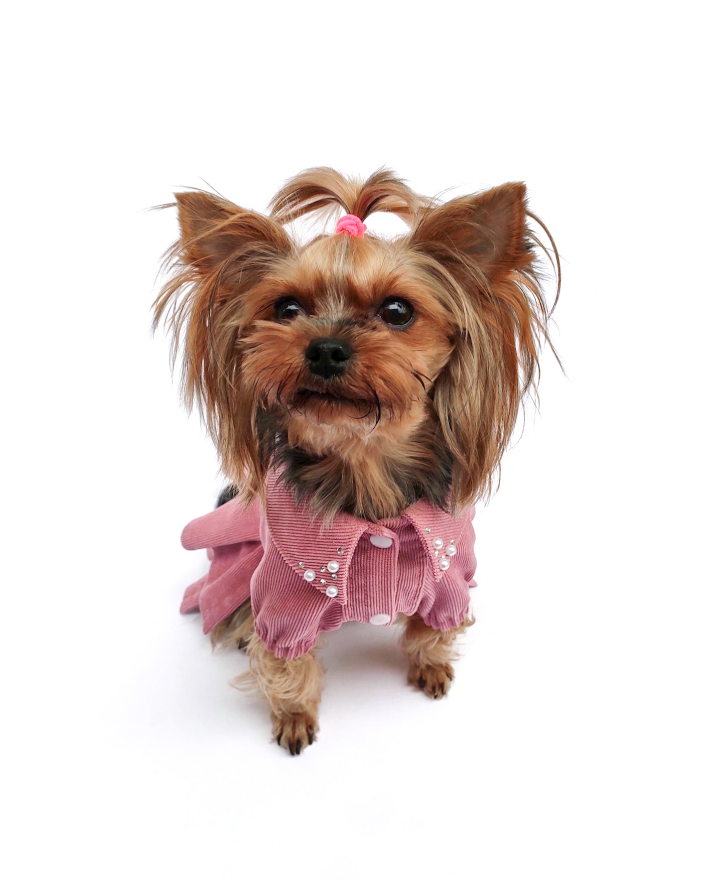 Pink cute dog dress. Designer pet fashion clothes