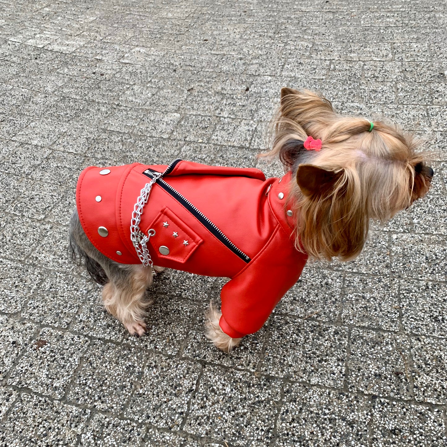 Stylish Red Leather Jacket for Dogs - Handcrafted Pet Apparel