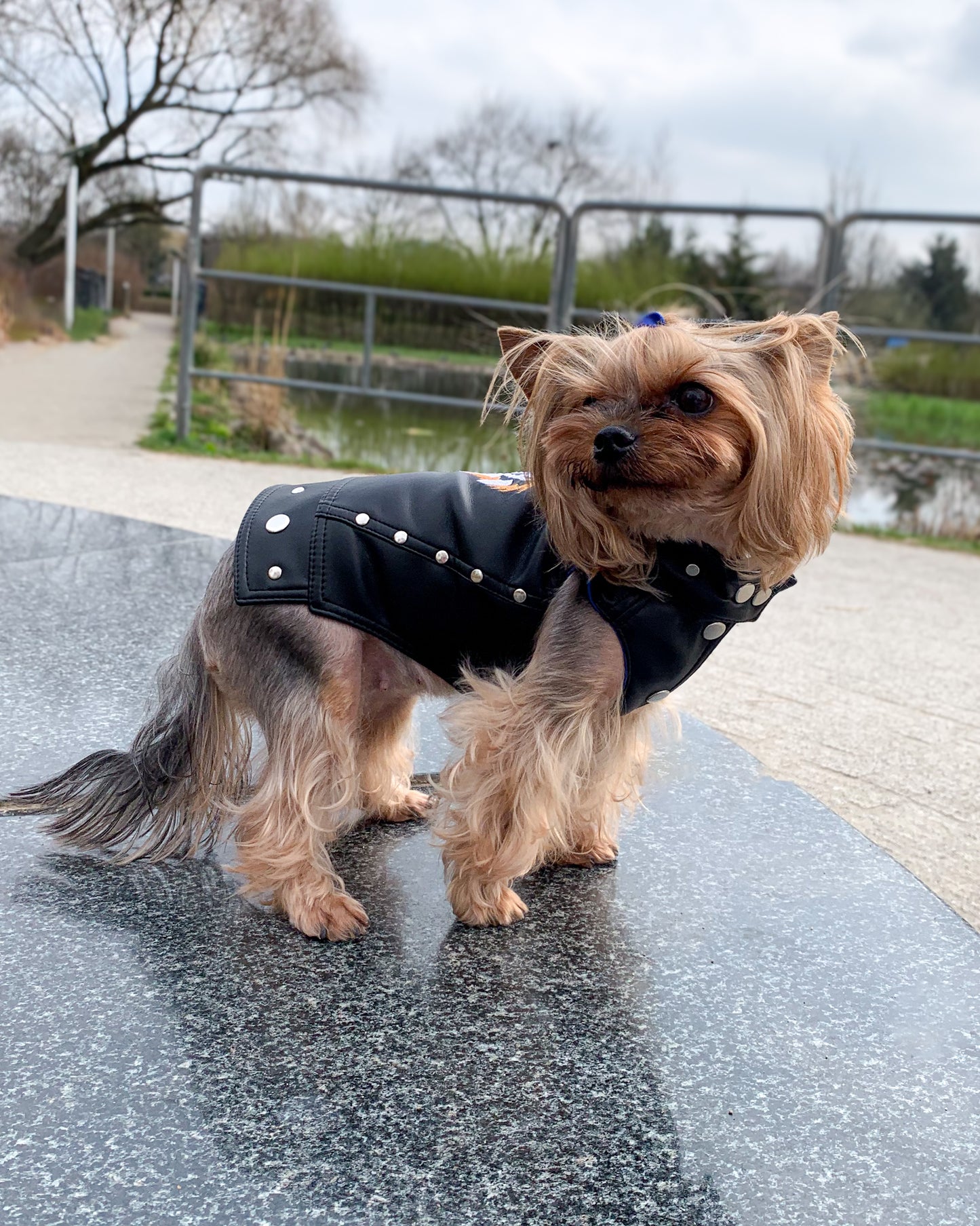 Biker dog leather jacket. Vegan leather dog vest with Tiger embroidery