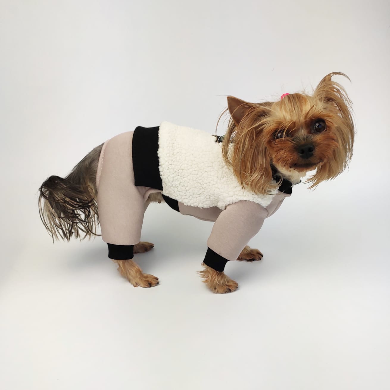 Warm cotton dog jumpsuit