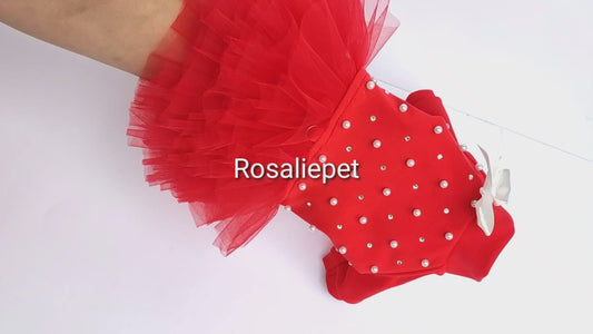 Red dog dress with tutu skirt